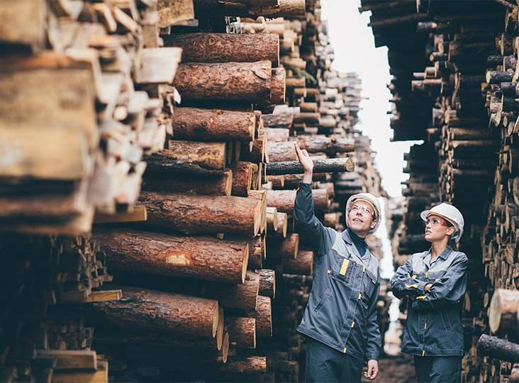 huge stack of logs and two workers looking on
